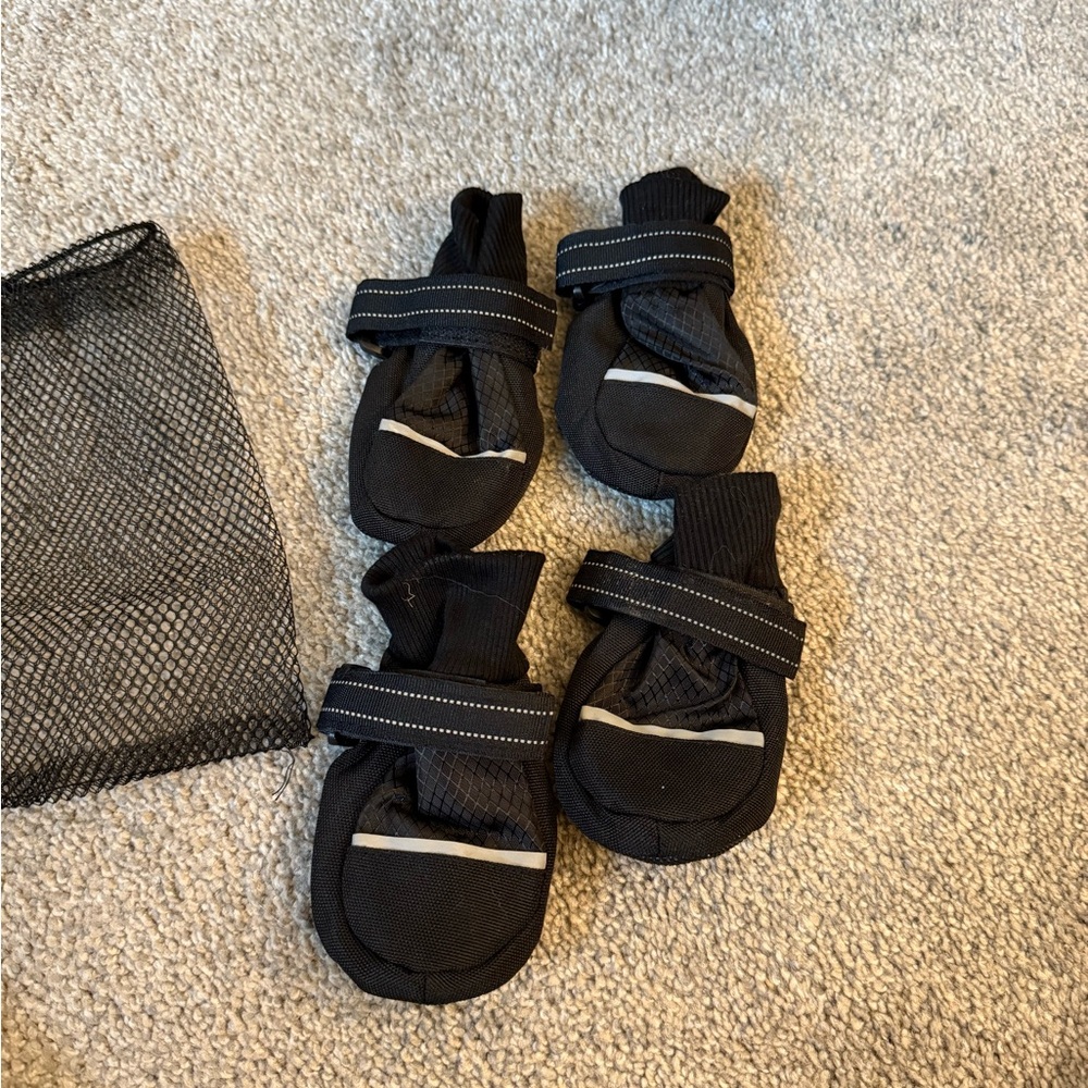 Black Dog Boots Set of Four
